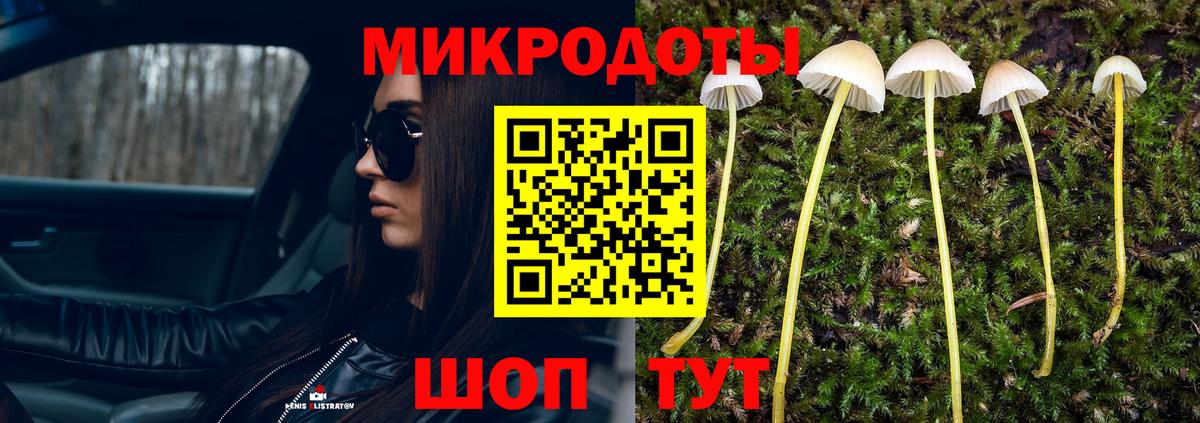 Псилоцибиновые грибы ЛСД  Галлюциногенные грибы мицелий  Новосибирск  что такое   Вход с VPN 